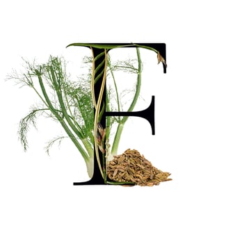 Fennel Seeds Media